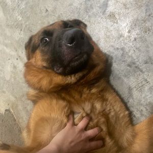 Meet your Posher, Sheyla